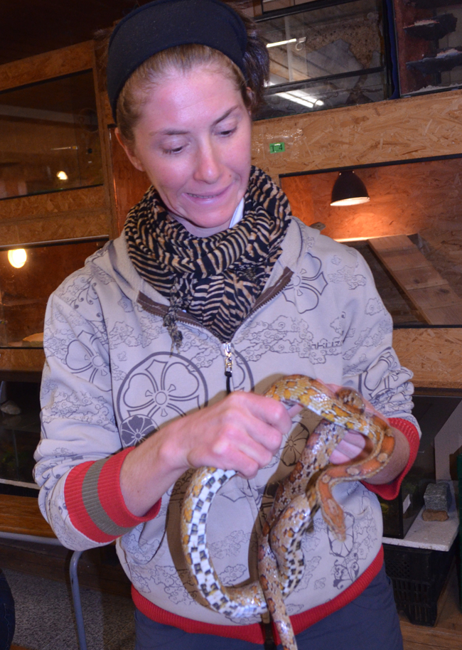 files/content/rdw/Logbook Photos/13-11-17Kornnatter2.jpg