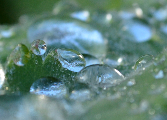 files/content/rdw/Logbook Photos/13-11-17Waterdrops.jpg