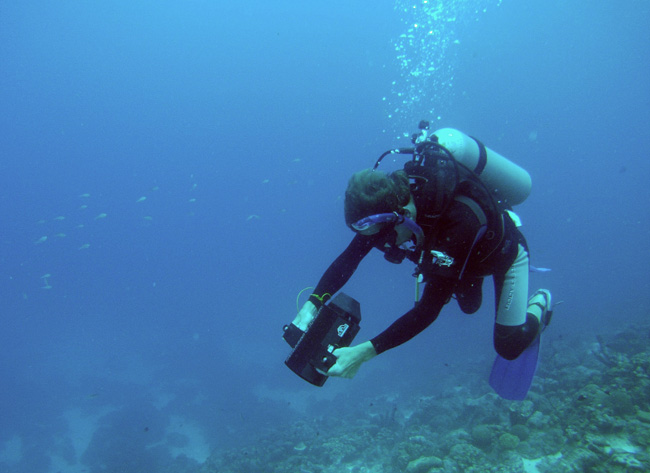 Thorsten filmt unterwasser