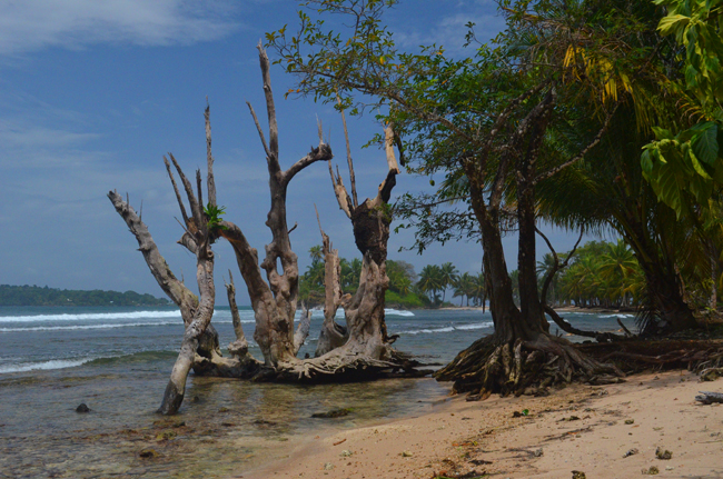 files/content/rdw/Logbook Photos/15-06-16_Carenerobeach.jpg