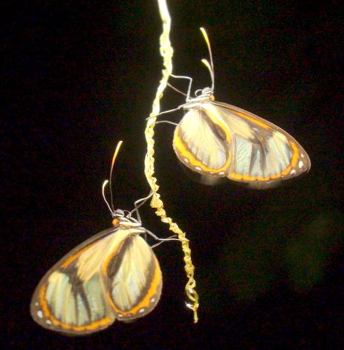 files/content/rdw/Logbook Photos/15-09-23-Licht_Schatten.JPG