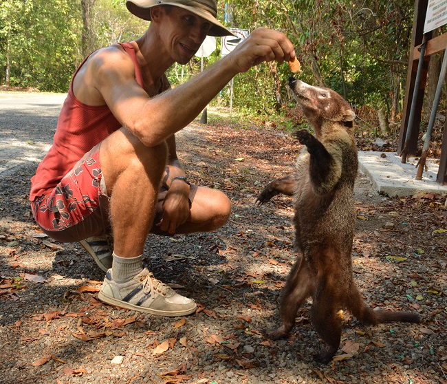 files/content/rdw/Logbook Photos/16-04-04Coati1.jpg