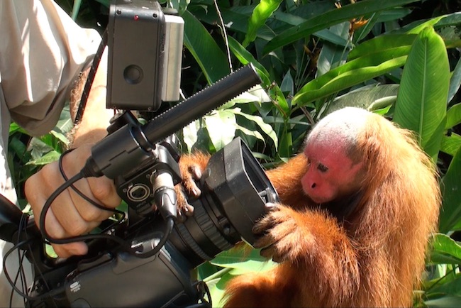 files/content/rdw/Logbook Photos/17-03-07Uasari-CamKlein.jpg