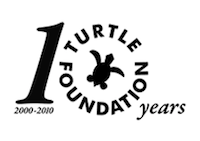 Logo Turtle Foundation
